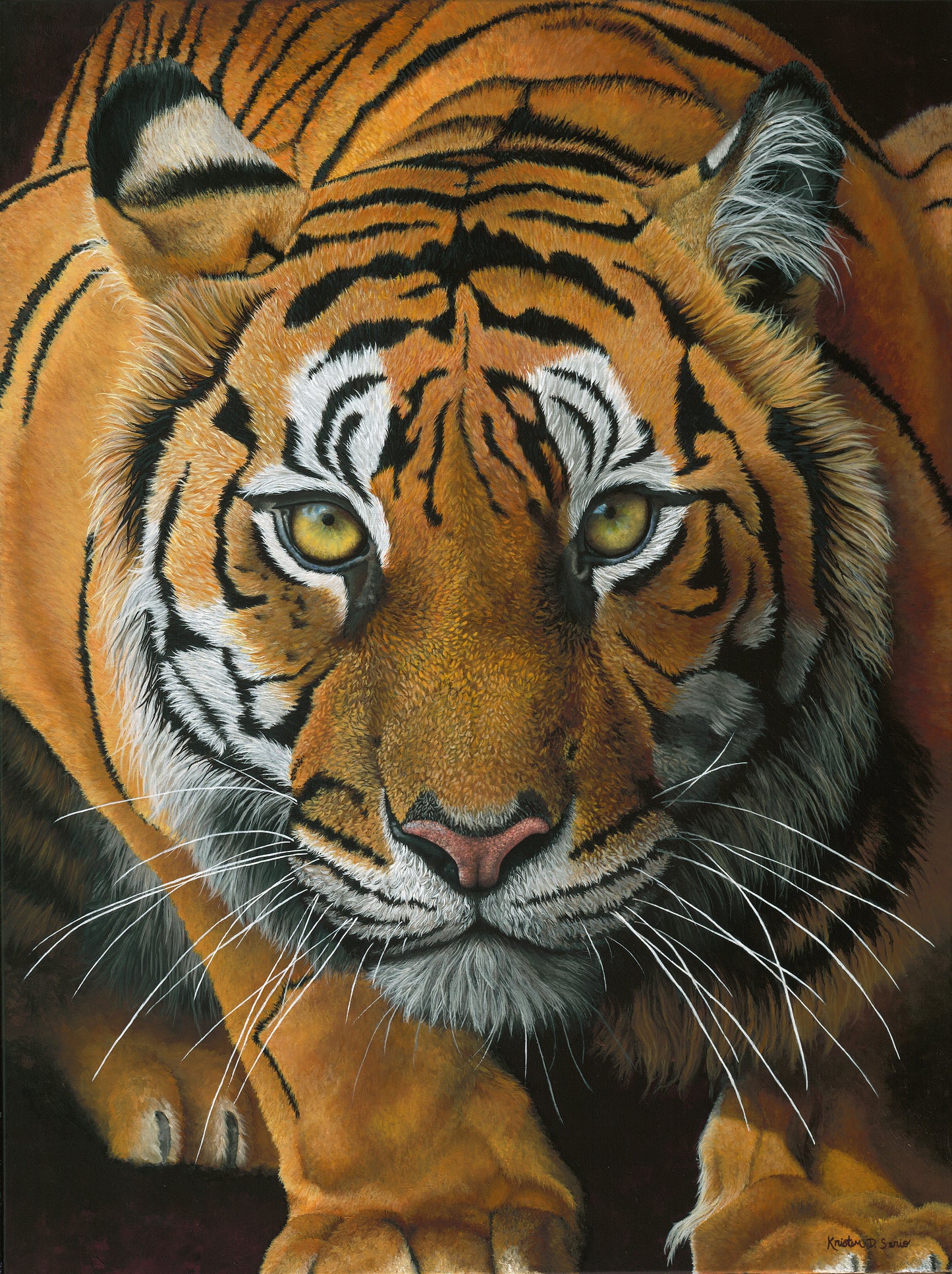 Anticipation Prints 8" x 10"