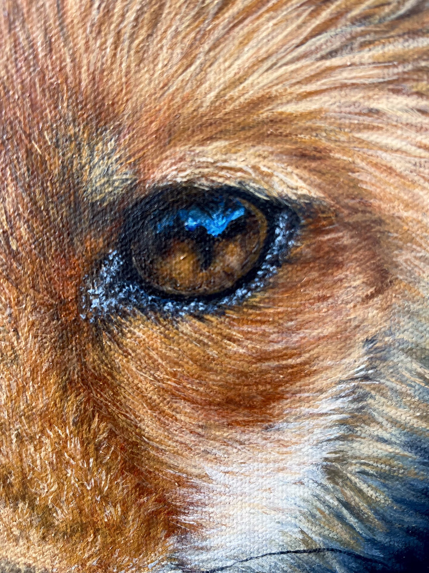 Fox Brambles
