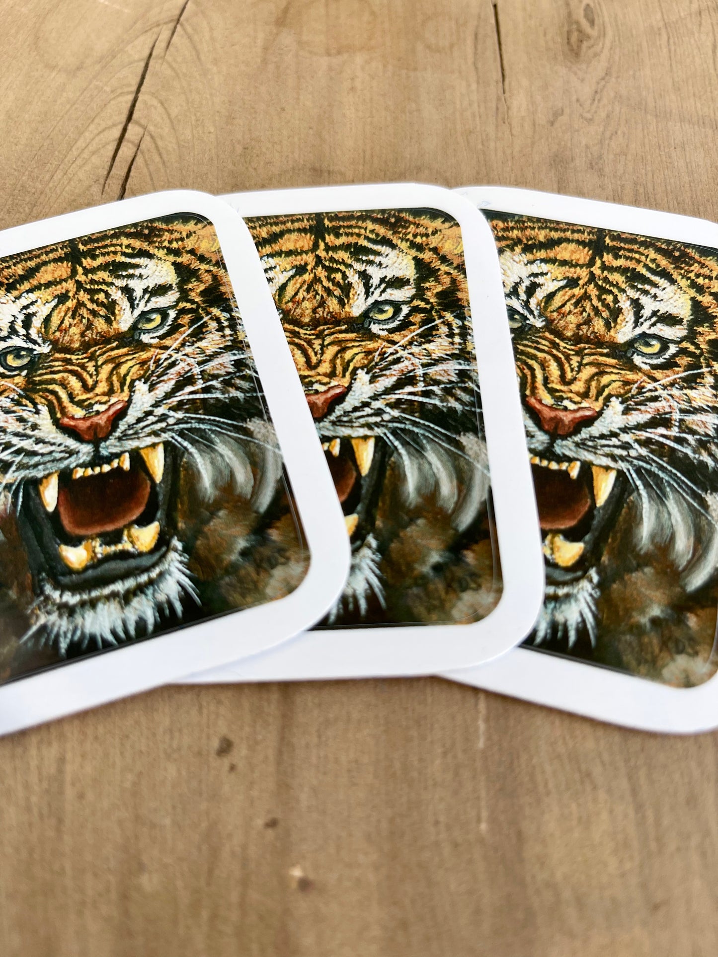 Hurricane Francine 2