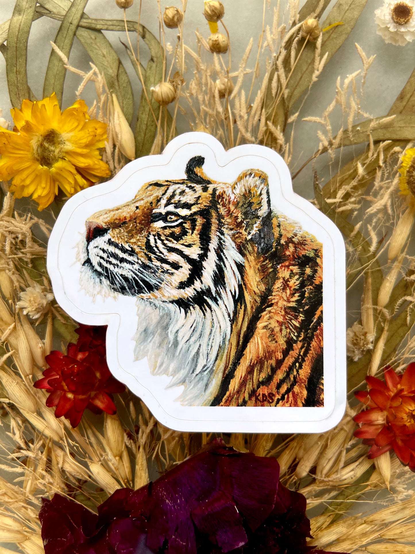 Hurricane Francine 1 -Cutout