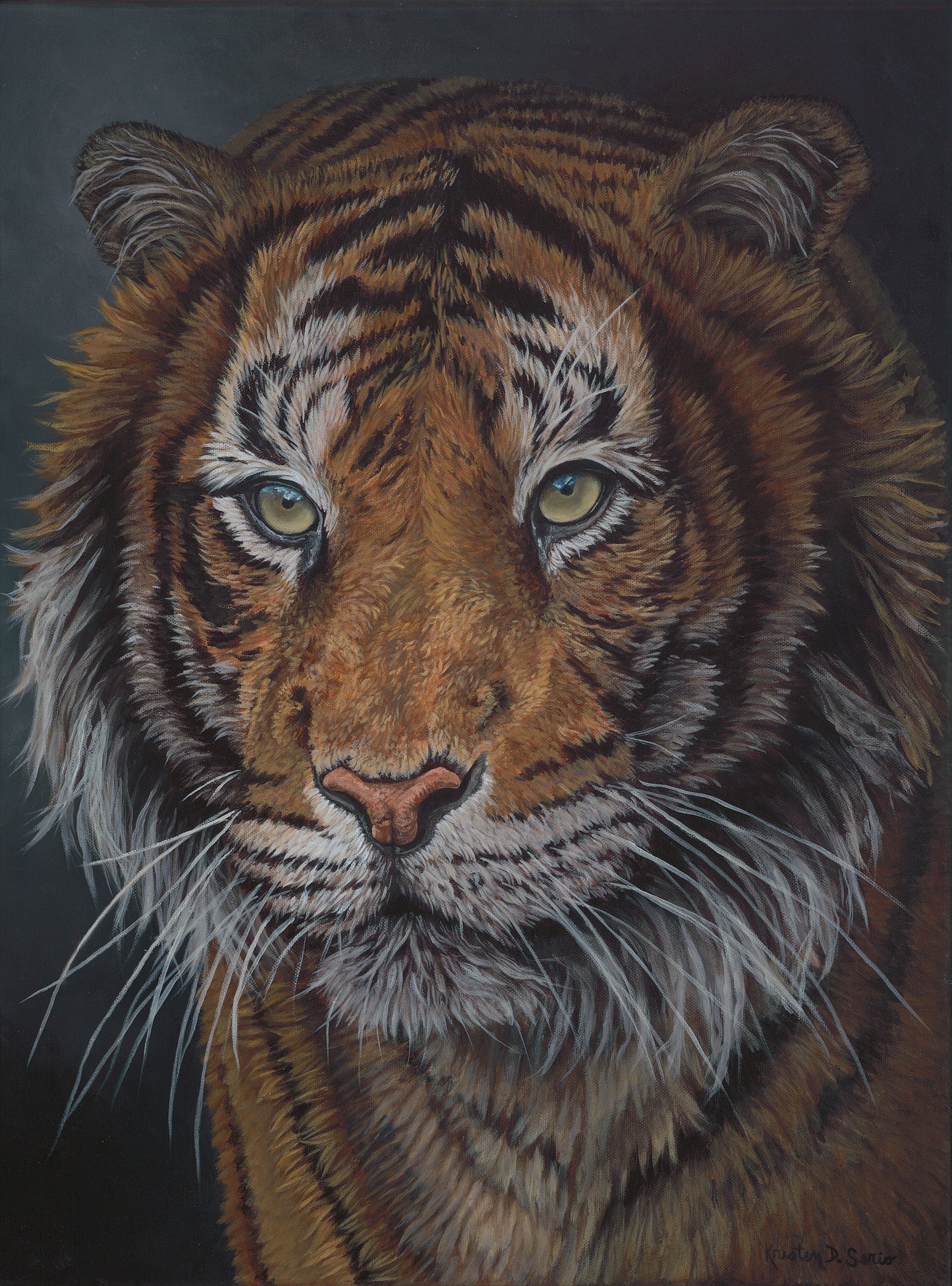 Tiger Portrait 9" x 12"