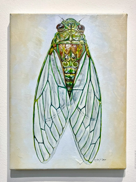 Cicada